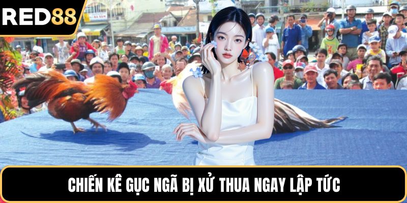 Chiến kê gục ngã bị xử thua ngay lập tức