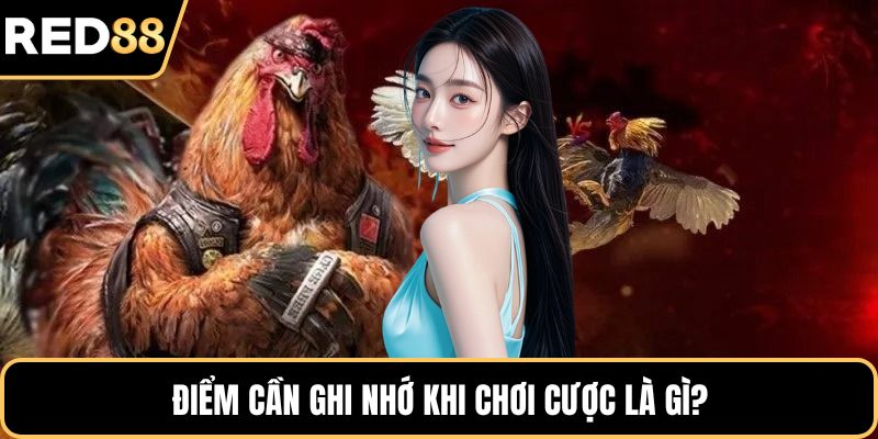 Điểm cần ghi nhớ khi chơi cược là gì?